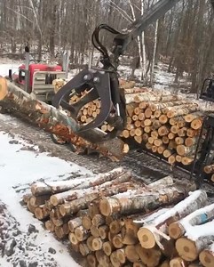 Serco Loaders ryan_sokoloski & albrechttruker He shoots, he scores! Having some fun with a Serco Log Loader! 👏 www.sercoloaders.com #sercoloaders #logging #forestry #heavyequipmentlife #machinery #loggers #materialhandling #heavyequipmentoperator | Forestmachinemagazine