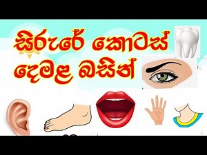 1 සිට 5 වසර දක්වා | සිරුරේ කොටස් දෙමළින් | body parts in tamil & english