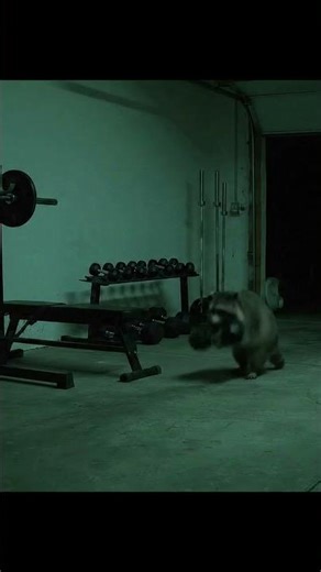 Racoon caught in CCTV Funny Ending