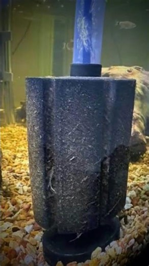 How to Clean Aquarium Filter #aquarium