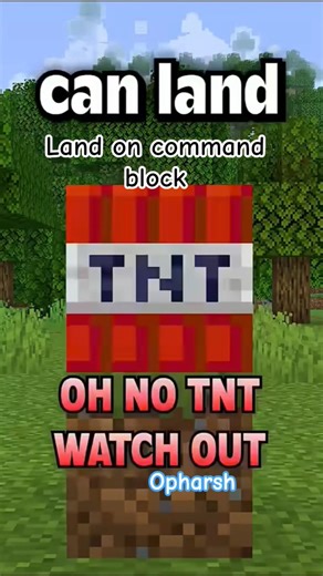 99% people fail to land on command block #donutsmp #shorts #minecraft