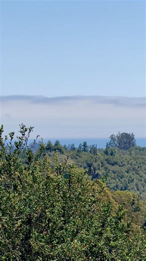 13K views · 395 reactions | A 180 degree view of the Monterey Bay from the hills above Soquel where I’m currently pet sitting. I keep hoping for a spectacular sunrise or sunset, but so far, it’s mostly been about the thick fog. | Native Santa Cruz | Facebook