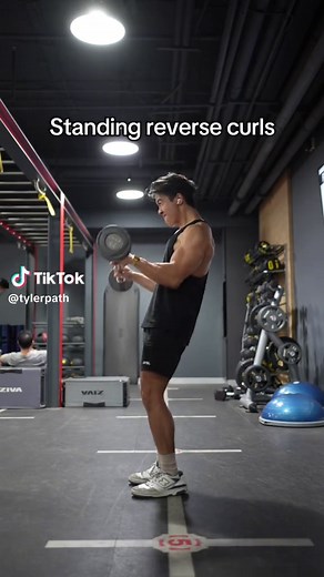 Standing Barbell Reverse Curl Techniques for Strength