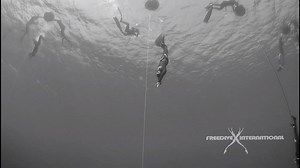 A duck dive for a CWT dive with monofin can be done in 2 different ways: the regular and most popular duck dive will end with an arm stroke, so that you have to bring your arms towards your legs. Most monofin freedivers will descend with their arms above the head, meaning that if they do the regular dive dive they will have to bring their arms up one more time to get into the right position. If this doesn't seem practical, there is a second option: If you practice a bit you will be able to duck 