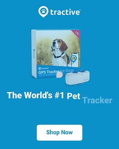 44 reactions · 19 shares | The Tractive LTE GPS DOG tracker enables you to view your dog's location from anywhere, anytime.  Live Tracking  Location History  Virtual Fence  Activity Monitoring  Small & Lightweight  100% Waterproof | Tractive | Facebook