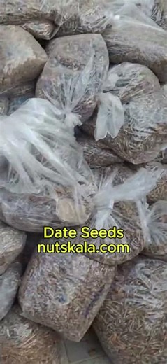 date kernel for coffee powder