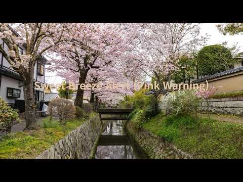 Sweet Breeze Alert (Official Audio) | A Sweet Spring Pop Song for Couples [108 BPM]