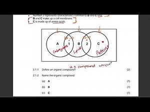 Grade 10 Organic Compounds Exam Questions | Life Science | Exam Past Paper | Carbs, Lipids, proteins