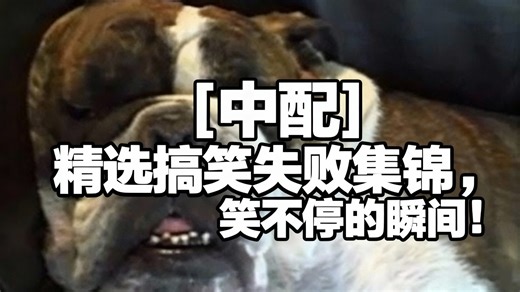 [中配][中配] 精选搞笑失败集锦，笑不停的瞬间！ - AFV Classics