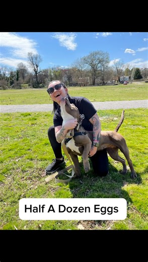 24K views · 1K reactions | Our staff members were able to enjoy the...