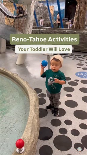 🧸 TODDLER FUN IN RENO–TAHOE (save & share this post!) Comment “TODDLER” and we’ll send you our full list of activities play spots perfect for little ones! 👶🏼✨ 👉🏼 @northernnevadamoms for the best local ideas for family fun! Looking for ways to keep your toddlers active, learning, and having fun? We’ve rounded up the best spots for playtime, storytime, and everything in between across the Reno–Tahoe area! 💻 Get all the toddler-friendly details on our website — NVMoms.com or tap the link in o