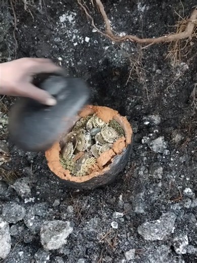 Treasure Hunter Adventures with Metal Detectors