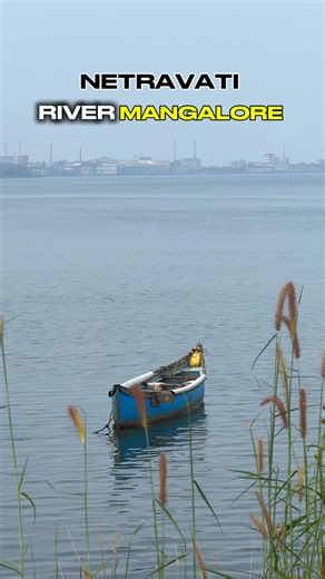 Rivers in Karnataka-Netravati River - The Netravati River is a vital 103-km west-flowing river in Karnataka, originating in the Kudremukh Western Ghats and discharging into the Arabian Sea near Mangalore, often merging with the Gurupura River. It acts as a primary water source for Mangalore, Bantwal, and Dharmasthala, with a high-rainfall basin (>2000-5000mm annually). #mangalore #karnataka #explore | our_mangalore