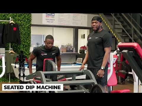 Exercise Tutorial - Seated Dip Machine