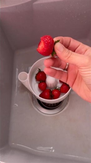 3D Printed Flow Washing Bowl