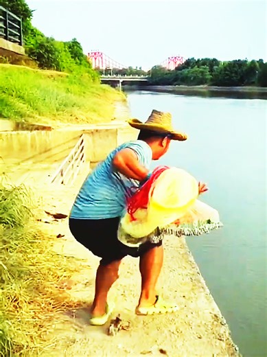 throw net Hawaii 🐠🐟 #thrownets #ringnet #stringnet #fishing