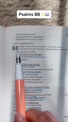 Psalms 88: A Cry Of Desperation | Christian Poetry Time