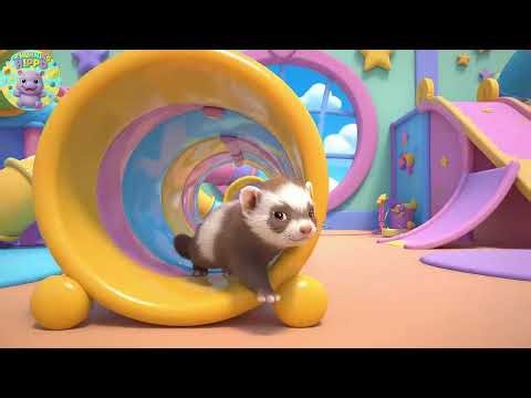 Squeak Squeak Baby Ferret Tunnel Tumble | Nursery Rhymes for Kids | Baby Songs for