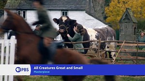 Enjoy this Sundays drama-filled program lineup on PBS. Watch Miss Scarlet and the Duke, All Creatures Great and Small, and the Long Song. Starting Suday, February 7 at 7pm.  Watch on Houston Public Media - TV 8  Stream on houstonpublicmedia.org/tv8 | Houston Public Media | Facebook
