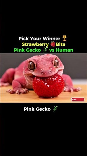Pink Gecko vs Human 🍓 The Sweetest Strawberry Battle Ever | Real Food ASMR #shortsfeed #asmr #ai