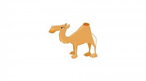 Camel Icon Animation Best Cartoon Object Stock Footage Video (100% Royalty-free) 1097021259 | Shutterstock