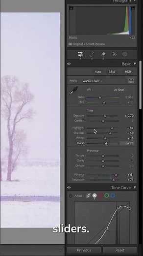 QUICK White Balance Trick for Photographers!
