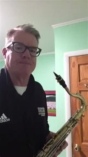 #saxophone #clarenceclemons #jungleland