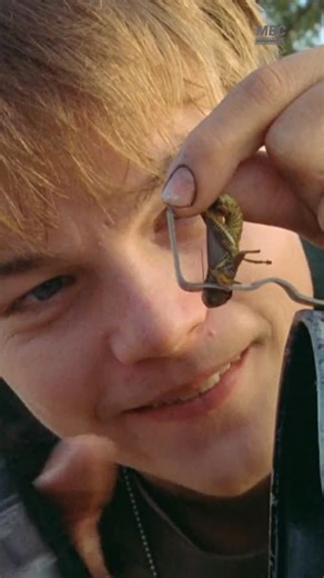 MY BEST CINEMA on Instagram: "In What’s Eating Gilbert Grape (1993), this small scene was meant to show Arnie’s pure, childlike nature. DiCaprio’s performance felt so real that moments like this helped him earn his first Oscar nomination at just 19.” #WhatsEatingGilbertGrape #LeonardoDiCaprio #MovieFacts #CinemaScene"