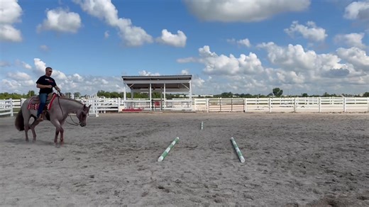 My Vitals Rock 2017 Model • Red Roan Gelding • 15.1h The Rock x Vitals Are Good Looking for a great all around gelding? We can’t say enough good things about “Karat”. This gelding is a great legged, super quiet, great minded, and all around great to be around. He has a total of 122.5 points with most of those being in the please. However he has started his all around career and still green eligible. Has been show a handful of times in the trail, western riding, horsemanship, and showmanship. He 