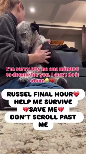 All it takes is $120 to give him the medical care he desperately needs and a real chance to recover.