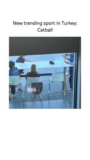 CATBALL #turkey #memes #cat #funny | Memedroid