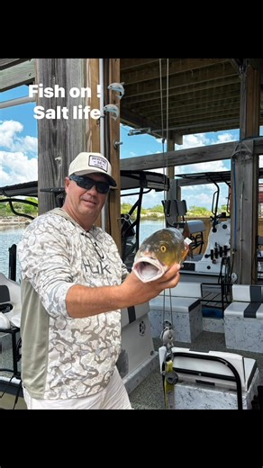 Salt life. Fish on. 🦈🦈 | Tim Tillman