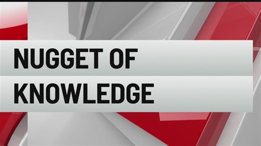 The reason you can have some peanuts at Five Guys