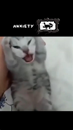Disordered CATS (Last edition?) in Mewgenics are CRAZY!!