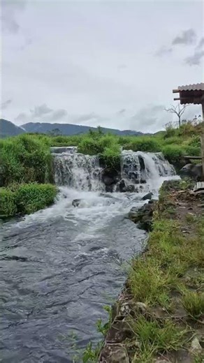 The Most Beautiful Waterfall View - Flowing Through the Residents' Vegetable Gardens #shorts #nature