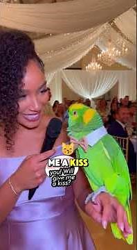 The Funniest Guest at the Wedding… Is a Parrot 😂🦜