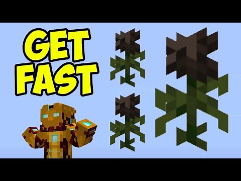 Minecraft How to get WITHER ROSE (EASY) (3 WAYS)