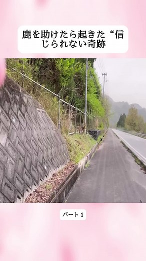 鹿を助けたら起きた信じられない奇跡