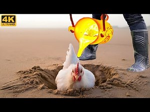 Experiment: Lava vs Chicken Underground!