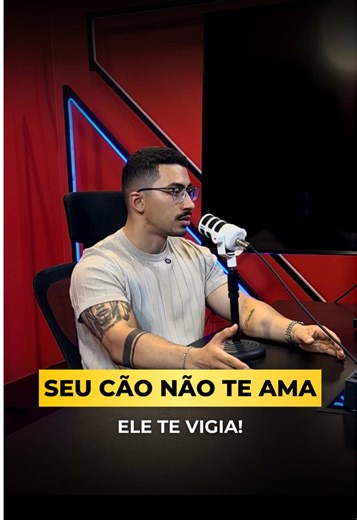 Dependência Emocional em Cães: Como Resolver