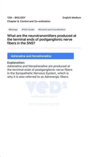 12th Biology Control and Coordination Neurotransmitters in SNS