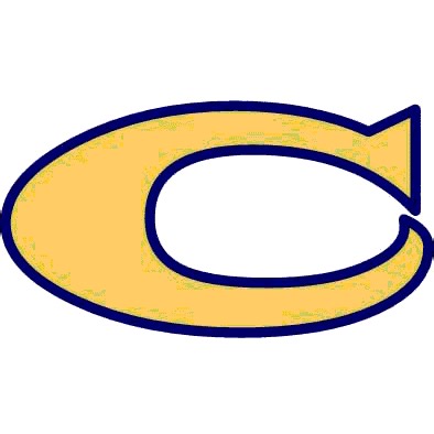 Volleyball Game Preview: Christiansburg Blue Demons vs. Salem Spartans   Official Tickets