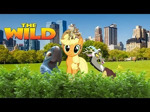 The Wild (LD Style) Cast Video (Happy Late Birthday @CrisHan_Productions2711)