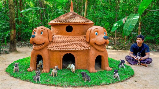 Rescued puppies see their hand-built jungle home for the first time – priceless reaction