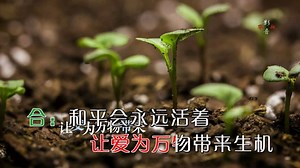 石倚洁庄文静-我要把我的爱给你-KTV_高清1080P在线观看平台_腾讯视频