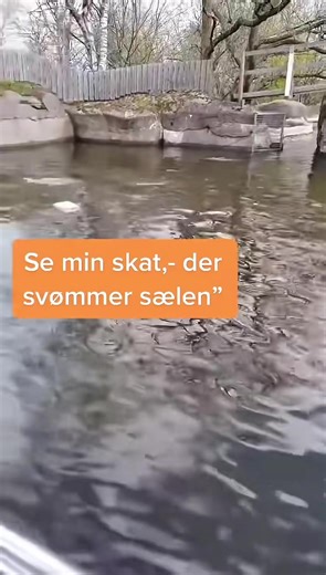 Om alt (@aktiv_altid_husk_det)s videor med original sound - Om alt