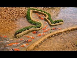 How to Make a Fish Trap That Catches Fish Automatically! (Easy Catch)