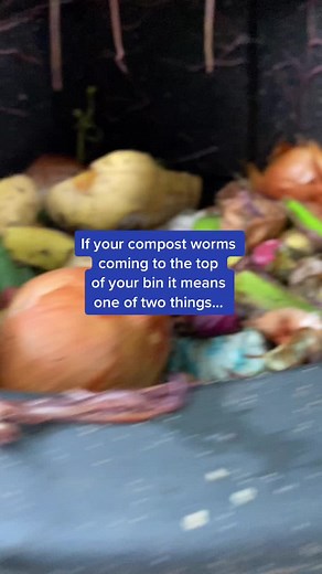 Compost Bin Worms: Troubleshooting Tips and Solutions