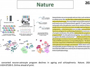 Nature—单细胞组学重磅突破：精神分裂症和衰老具有相似的神经元-星形胶质细胞“程序”损害