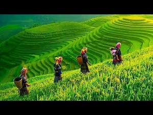 Mai Chau Valley: Vietnam's Hidden Paradise!